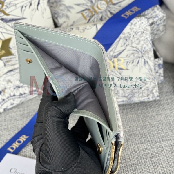 ��� CD ���� ������ S5173-13